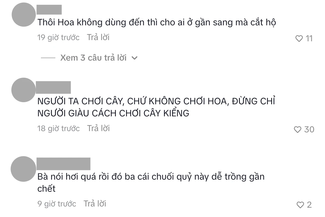 Quỳnh Lương rao bán cụm 2 cây hoa chuối trong vườn giá 350.000 - 400.000 đồng gây tranh luận - Hình 3