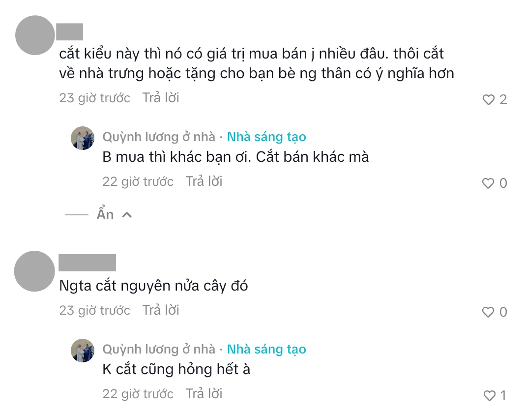 Quỳnh Lương rao bán cụm 2 cây hoa chuối trong vườn giá 350.000 - 400.000 đồng gây tranh luận - Hình 2