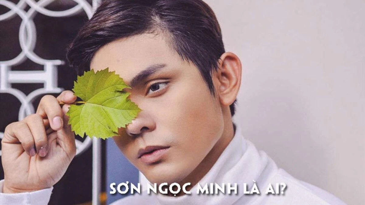 Sơn Ngọc Minh và chuỗi ồn ào - Hình 4