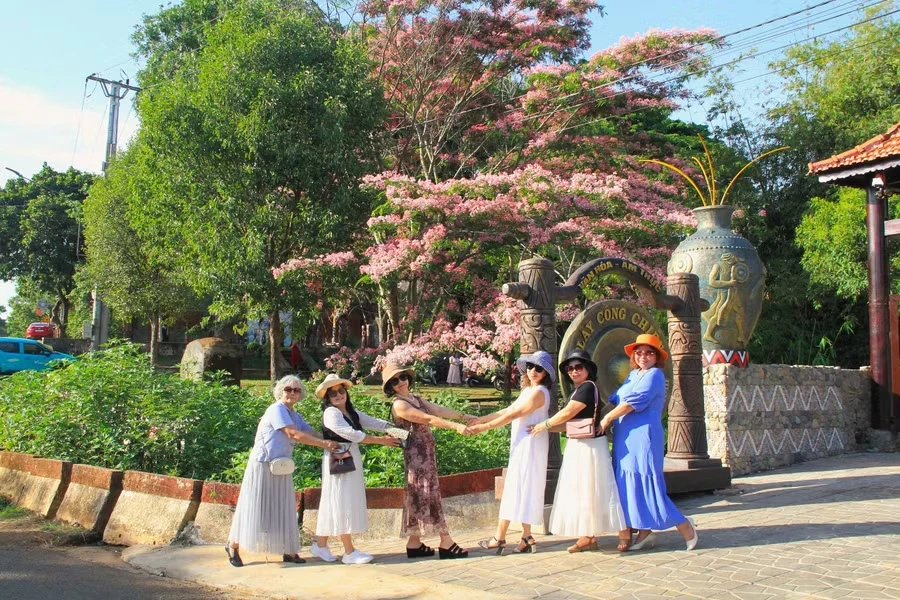 Muồng hoa đào nở rộ, hút khách đến làng Ơp check-in - Hình 8