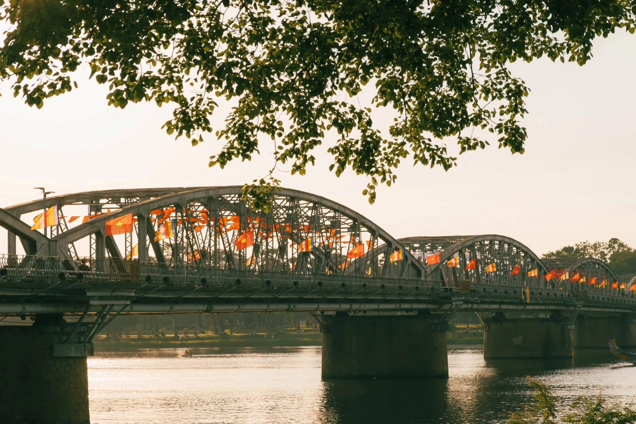 Cảnh rực rỡ gây sửng sốt tại Huế - Hình 1