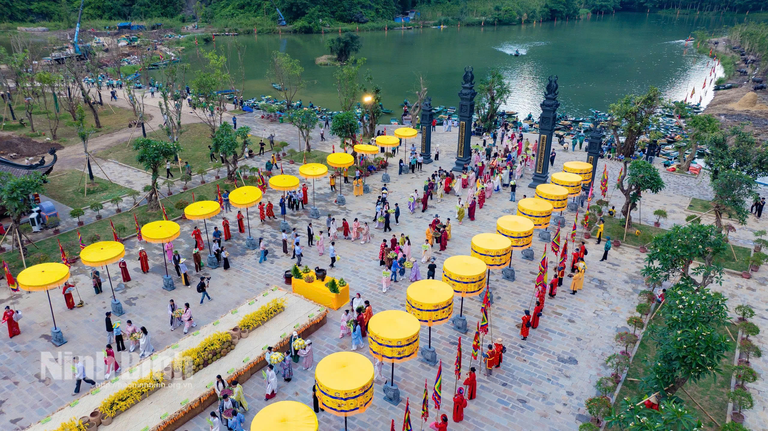 Cánh đồng Tam Cốc 2026: Thảm màu rực rỡ trước ngày khai hội - Hình 6