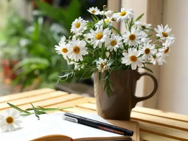 Nửa cuối tháng 4 âm lịch, 3 con giáp thời tới cản không kịp, Thần Tài theo bước, ban phát tiền vàng tiêu xài thả ga, giàu sang sung túc - Hình 3
