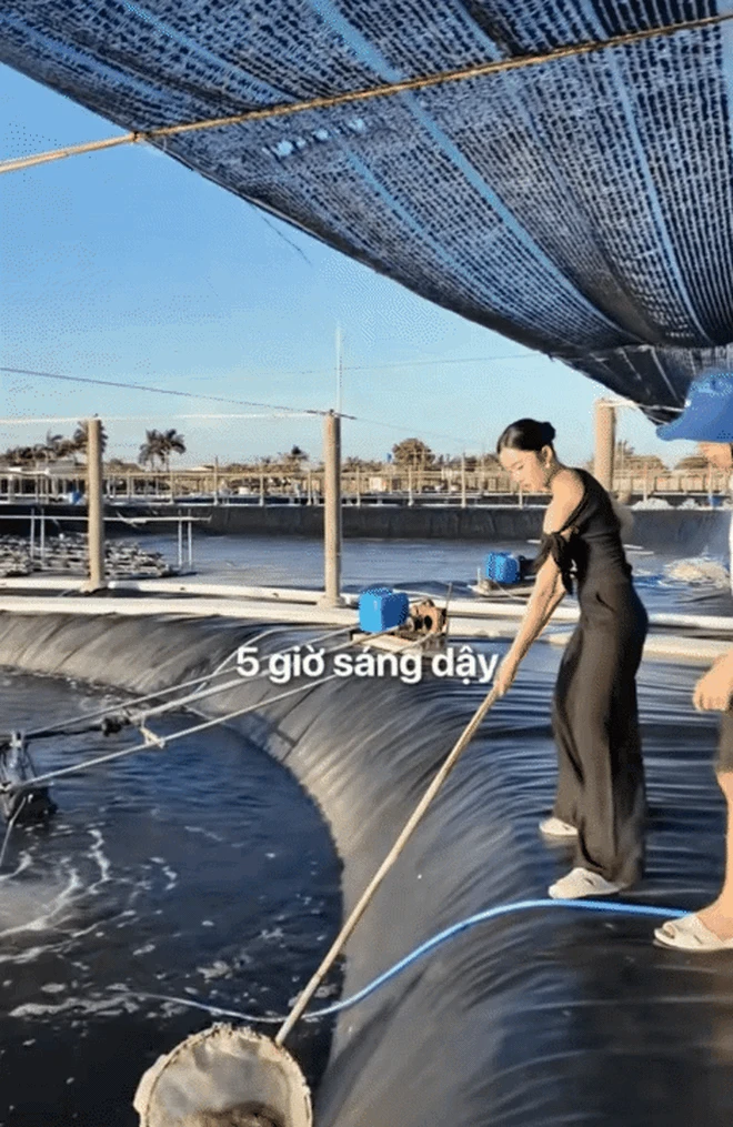 Nàng dâu miền Tây sống cùng mẹ chồng miền Bắc: Dậy từ 5h sáng, ngày sống 3 cuộc đời trong cơ ngơi 10.000m2 - Hình 4