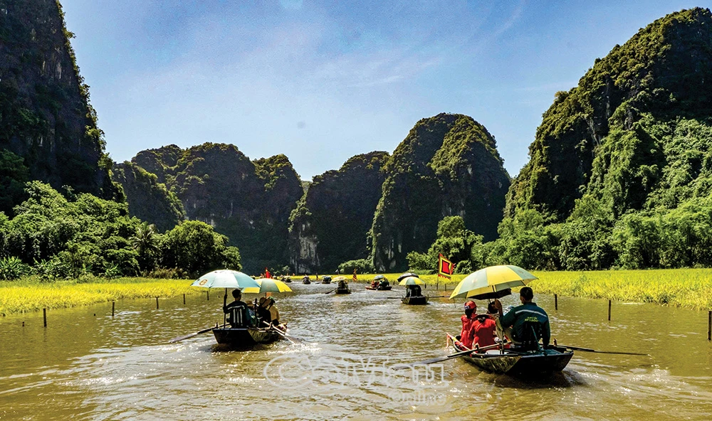 Sắc vàng Tam Cốc - Bích Động - Hình 3