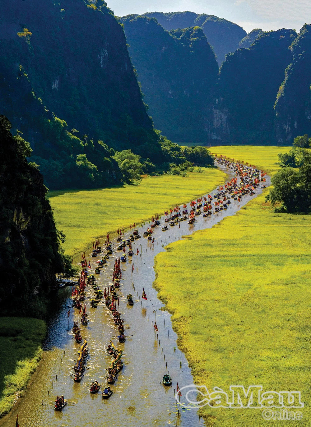 Sắc vàng Tam Cốc - Bích Động - Hình 2
