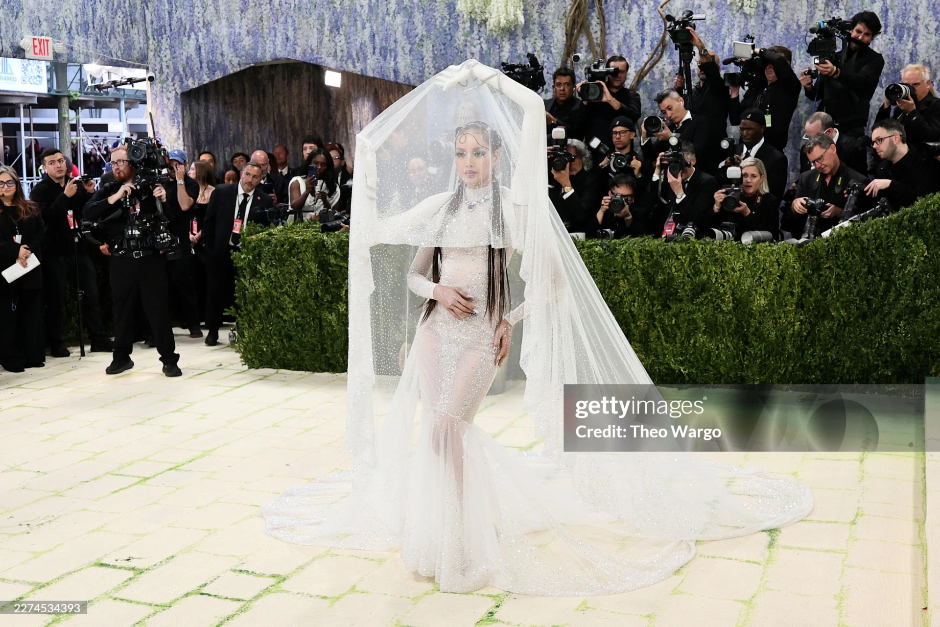 Bức ảnh trị giá 518 tỷ đồng của Lisa ở Met Gala - Hình 2