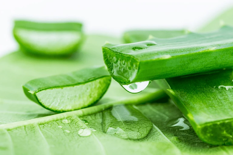 Mật ong kết hợp với nha đam có tác dụng gì với da? - Hình 2