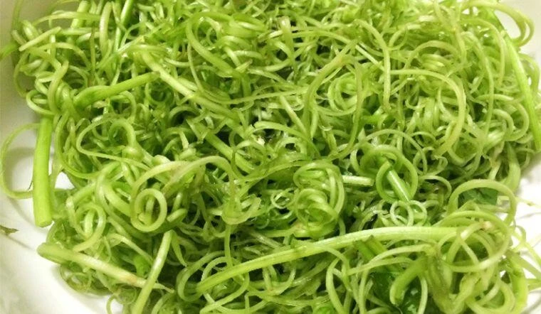 Ăn mãi mới biết rau này giàu kali và canxi, đem xào hay làm nộm vừa ngon lại giòn sần sật - Hình 3