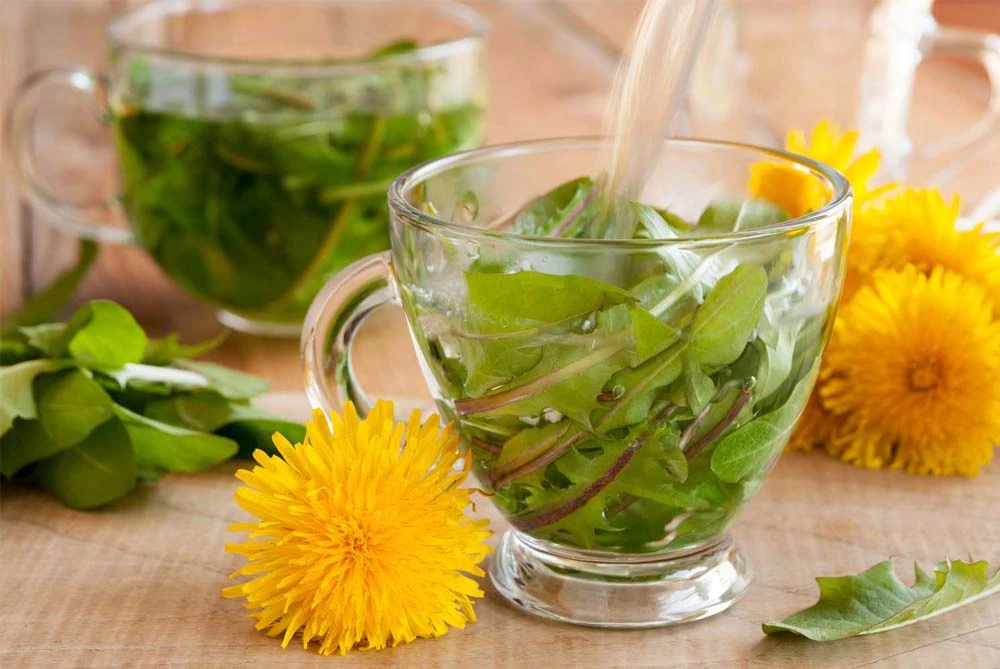 Vì sao người xưa dặn mùa hè ăn 3 loại cỏ, cả mùa ít gặp bác sĩ? - Hình 7
