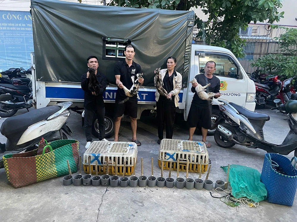 Công an giải cứu 500 con mèo trong đường dây trộm thú cưng quy mô lớn - Hình 1
