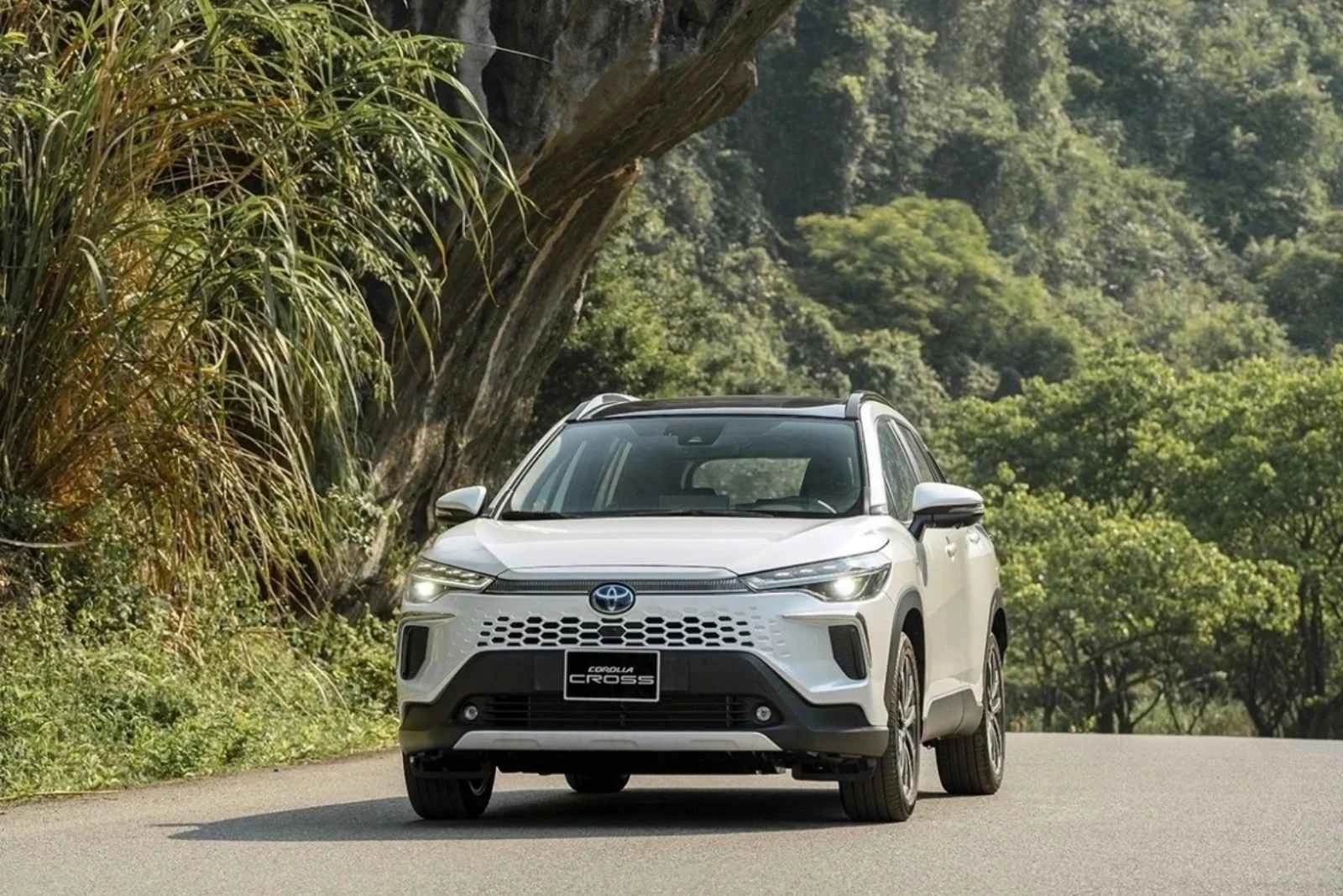 Ô tô Việt tăng tốc phục hồi, xe hybrid bùng nổ doanh số - Hình 1