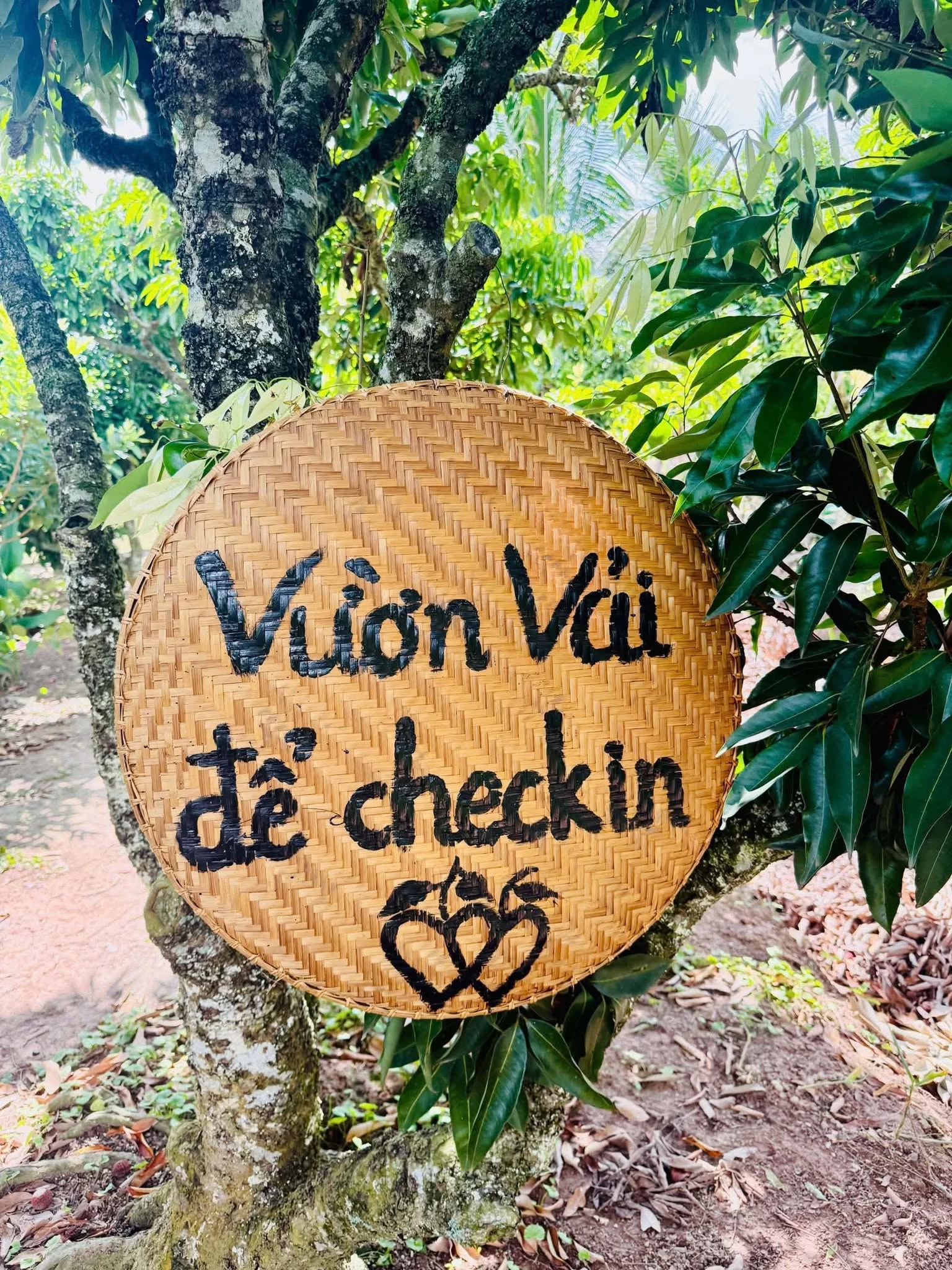 Mô hình du lịch mới từ Mùa quả chín xứ Đông - Hình 5