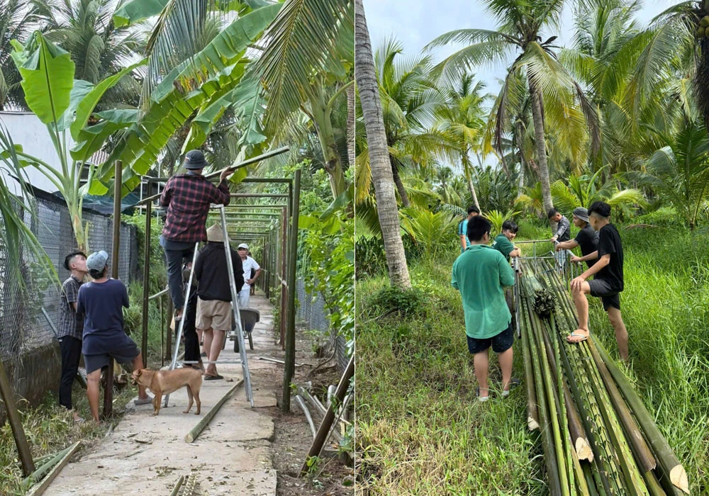 Cưới mối tình 13 năm, chú rể làm cổng hoa độc đáo, trang trí cả con ngõ 100m - Hình 2