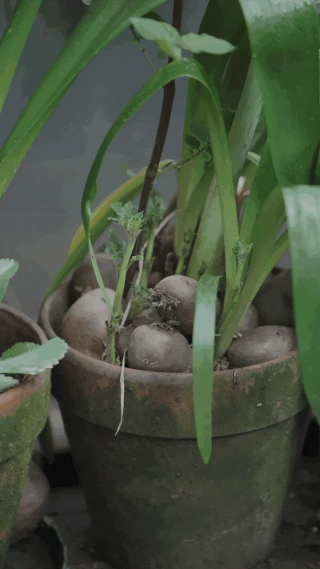 Cô gái 9X sống một mình trong căn nhà 3 tầng giữa vùng ngoại ô: Từ bỏ nhiều thứ phải có, đổi lại là một cuộc sống đủ đầy theo cách riêng - Hình 7