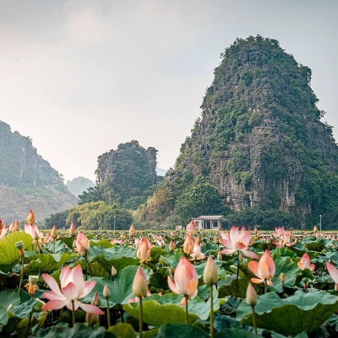 Cẩm nang khám phá Ninh Bình tháng 6 từ sáng tinh mơ đến tối mịt: Đi đâu ăn gì để tránh nóng mùa hè? - Hình 10