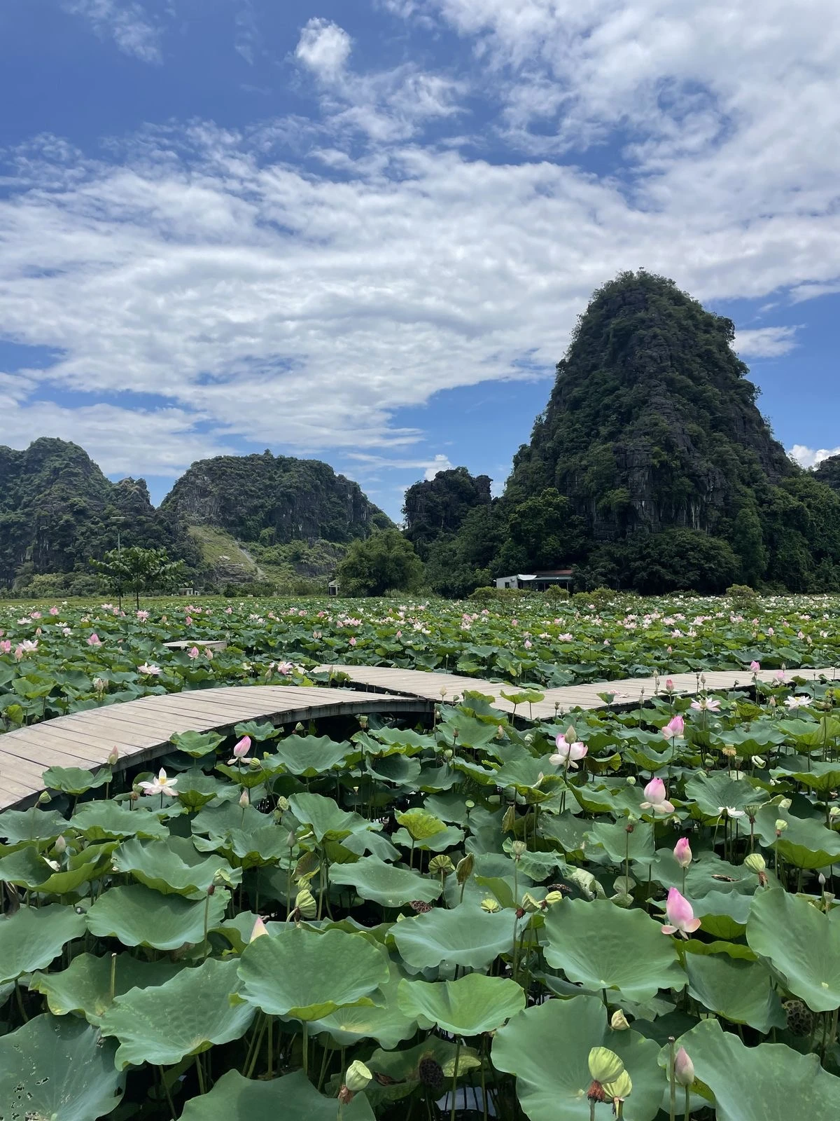Cẩm nang khám phá Ninh Bình tháng 6 từ sáng tinh mơ đến tối mịt: Đi đâu ăn gì để tránh nóng mùa hè? - Hình 4