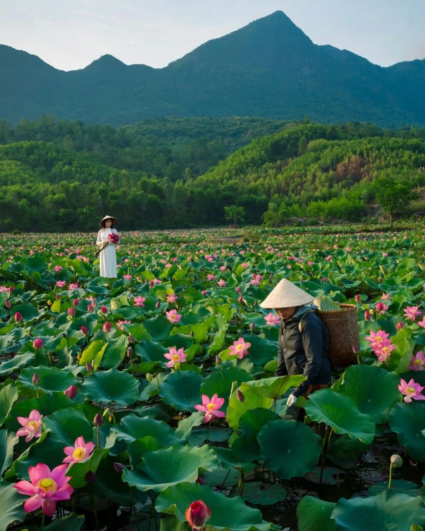 Cẩm nang khám phá Ninh Bình tháng 6 từ sáng tinh mơ đến tối mịt: Đi đâu ăn gì để tránh nóng mùa hè? - Hình 2