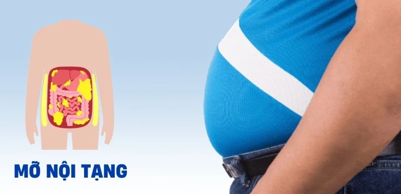 Dư thừa mỡ nội tạng gây nên những bệnh gì? - Hình 2