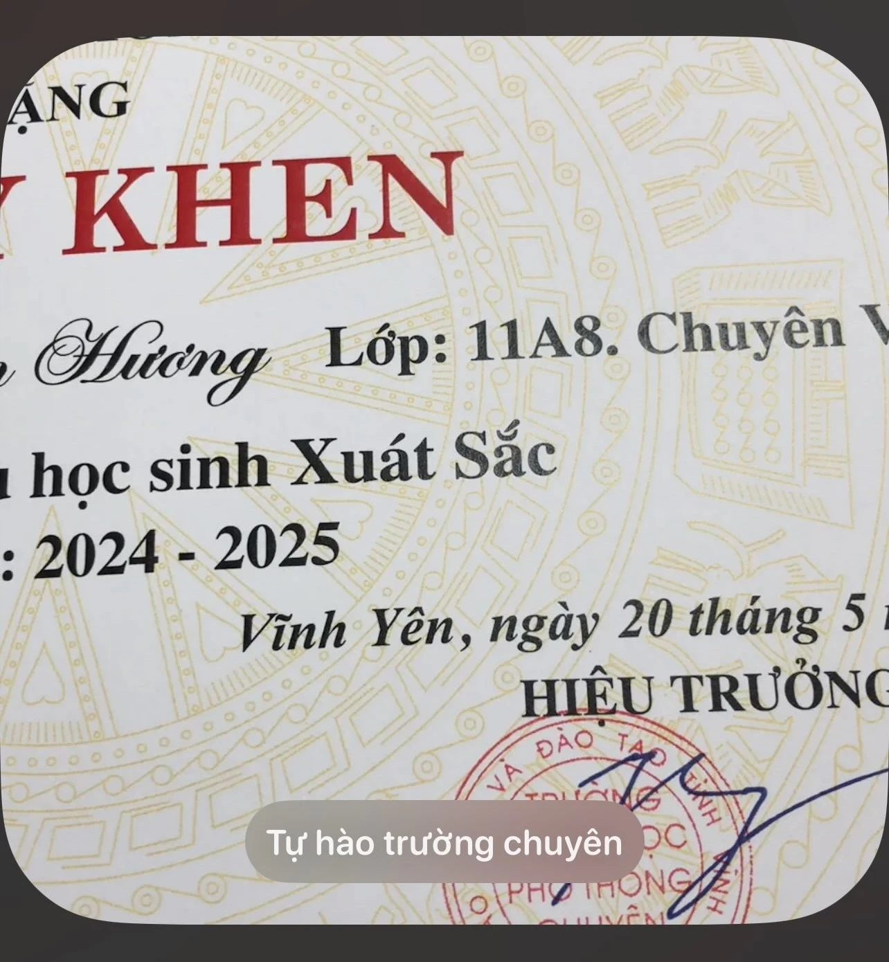 Học sinh xuất giỏi, Hiệu trưởng khen gợi.. - dở khóc dở cười với những tấm giấy khen nhận xong chỉ muốn... cất sâu vô tủ - Hình 3
