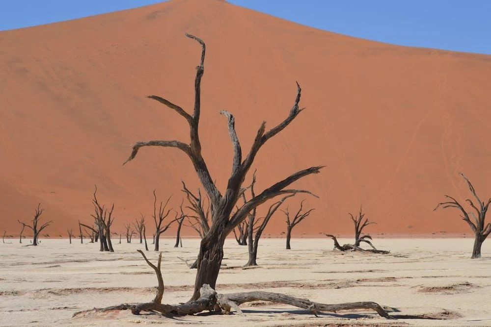 Liên Hợp Quốc cảnh báo về ảnh hưởng thời tiết từ hiện tượng El Nino - Hình 1