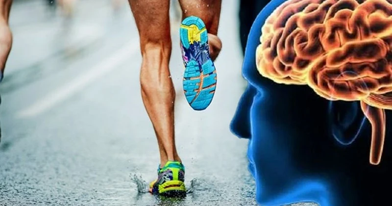 7 cách tự nhiên cải thiện trí nhớ - Hình 1