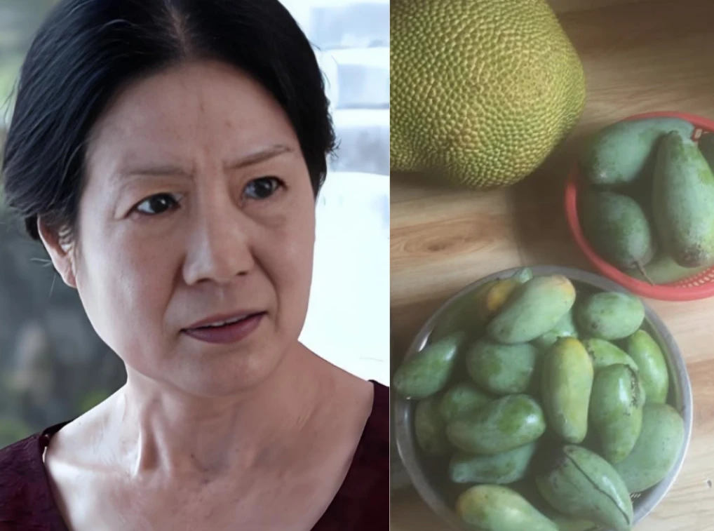 Mẹ chồng mang cả bao tải trái cây lên thăm, kết quả cháu nội nói một câu khiến bà đùng đùng bỏ về giữa trưa nắng - Hình 1