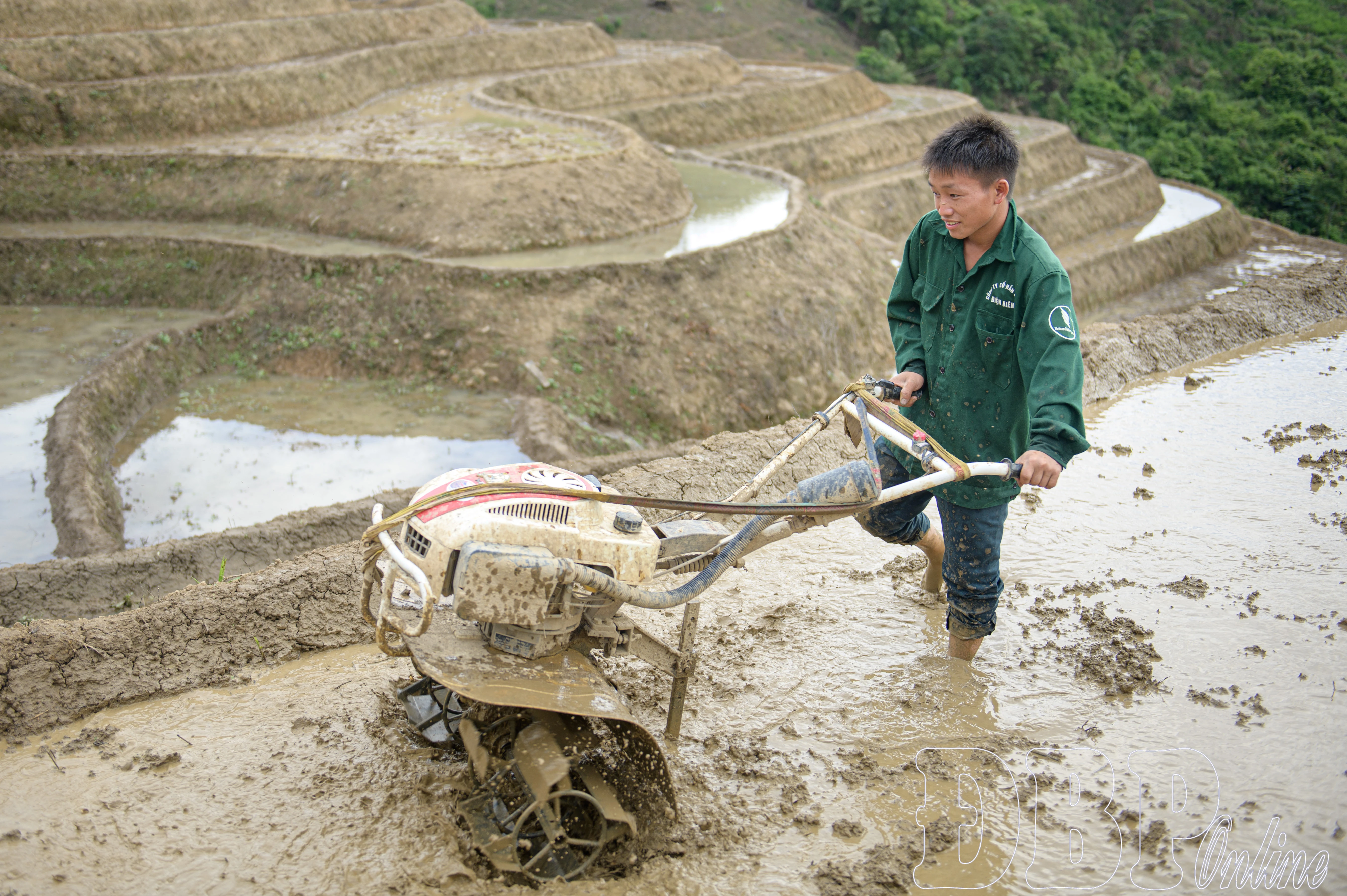 Mùa nước đổ trên ruộng bậc thang Pu Nhi - Hình 5
