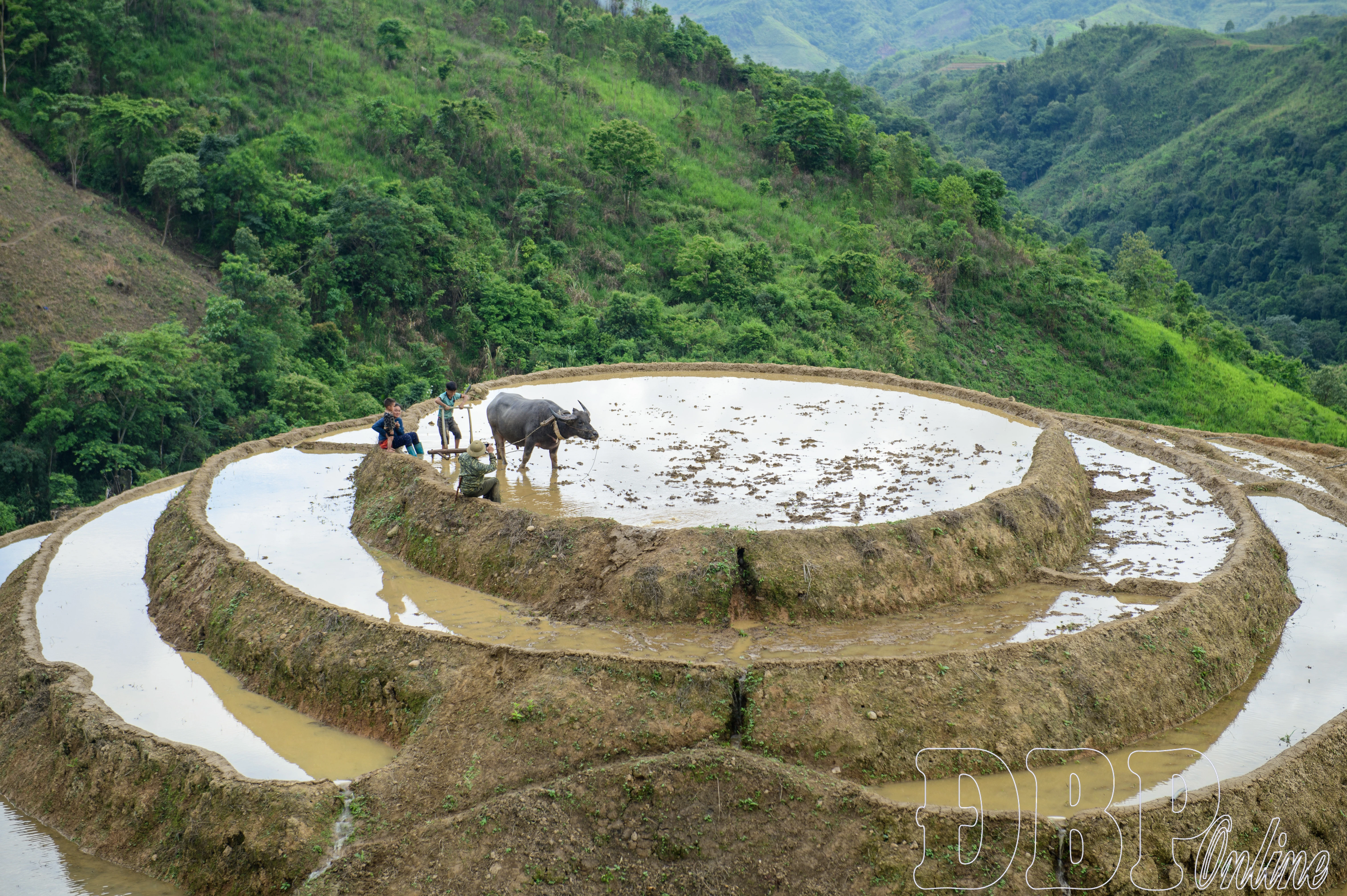 Mùa nước đổ trên ruộng bậc thang Pu Nhi - Hình 7