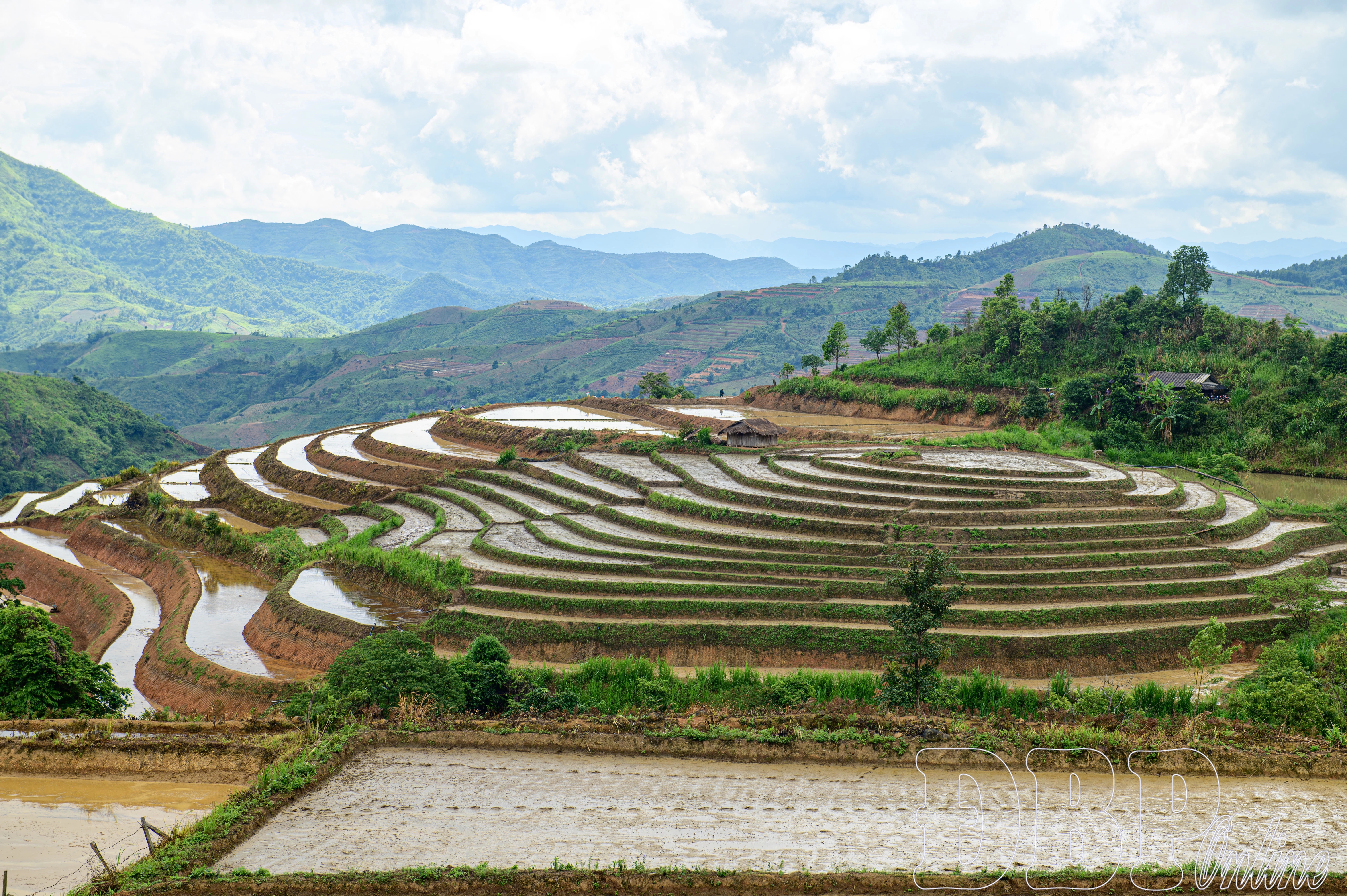 Mùa nước đổ trên ruộng bậc thang Pu Nhi - Hình 1