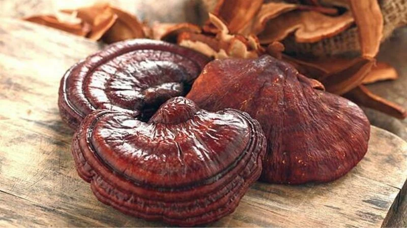 Cách sử dụng nấm linh chi đúng và an toàn - Hình 3