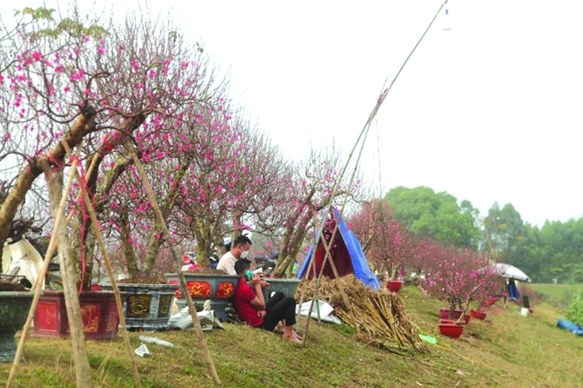 Cạn chén với sông Thương - Hình 4