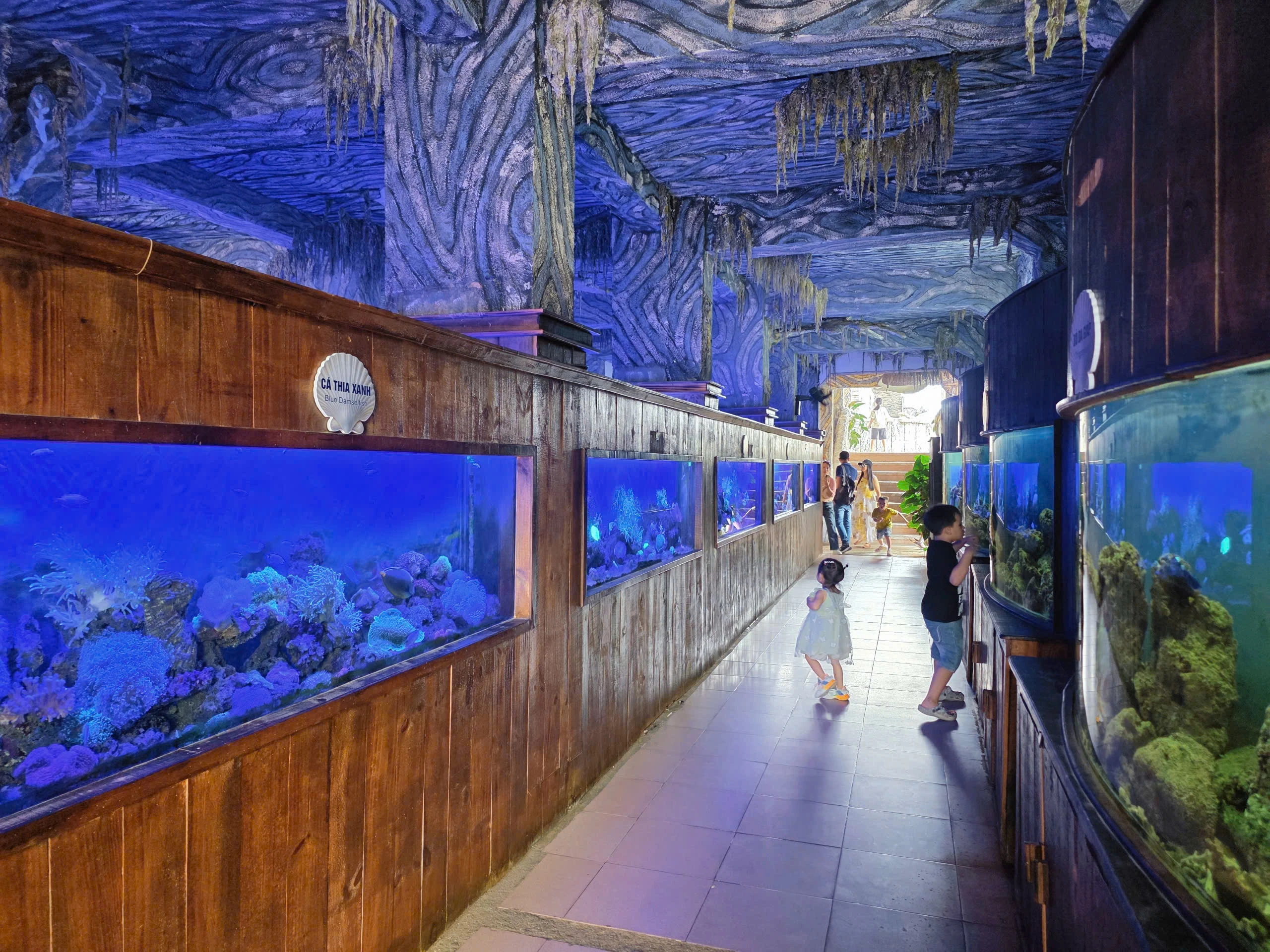 Độc đáo thủy cung trong con tàu hóa thạch giữa vịnh Nha Trang - Hình 3