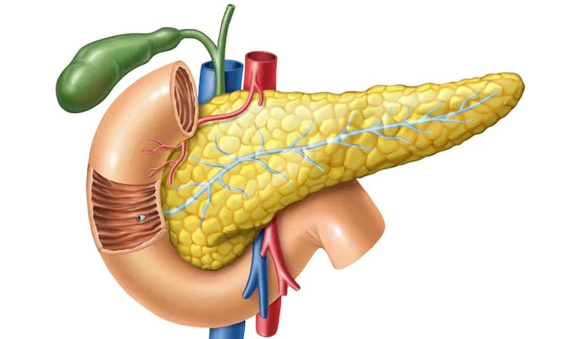 Tăng mỡ máu có thể gây viêm tụy cấp nguy hiểm đến tính mạng - Hình 1