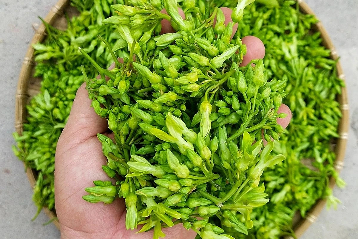 Loại rau này đang vào mùa rất rẻ, hãy mua và nấu các món ăn giúp giải nhiệt, bảo vệ gan, đồng thời trừ ẩm - Hình 7