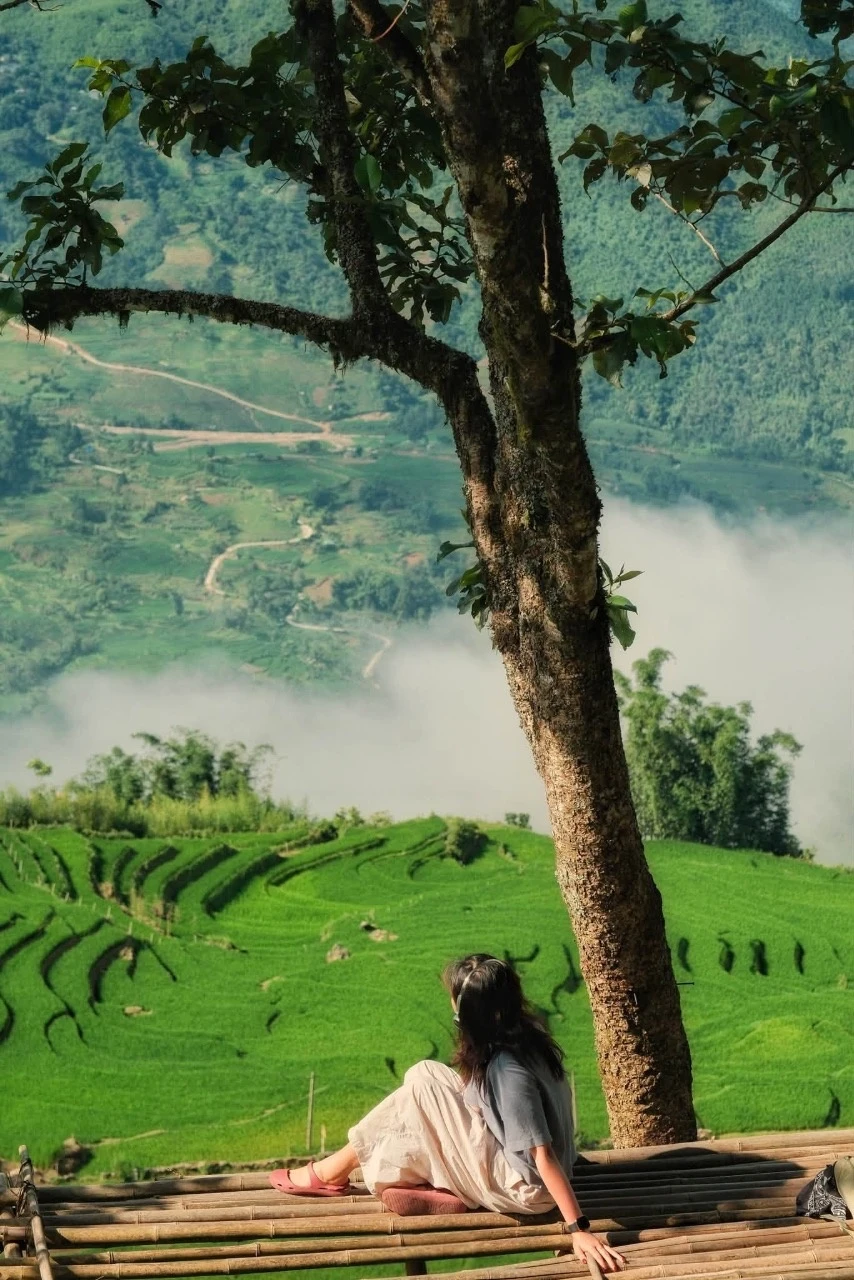 Mùa lúa xanh phủ kín ruộng bậc thang đẹp như tranh ở Y Tý - Hình 6