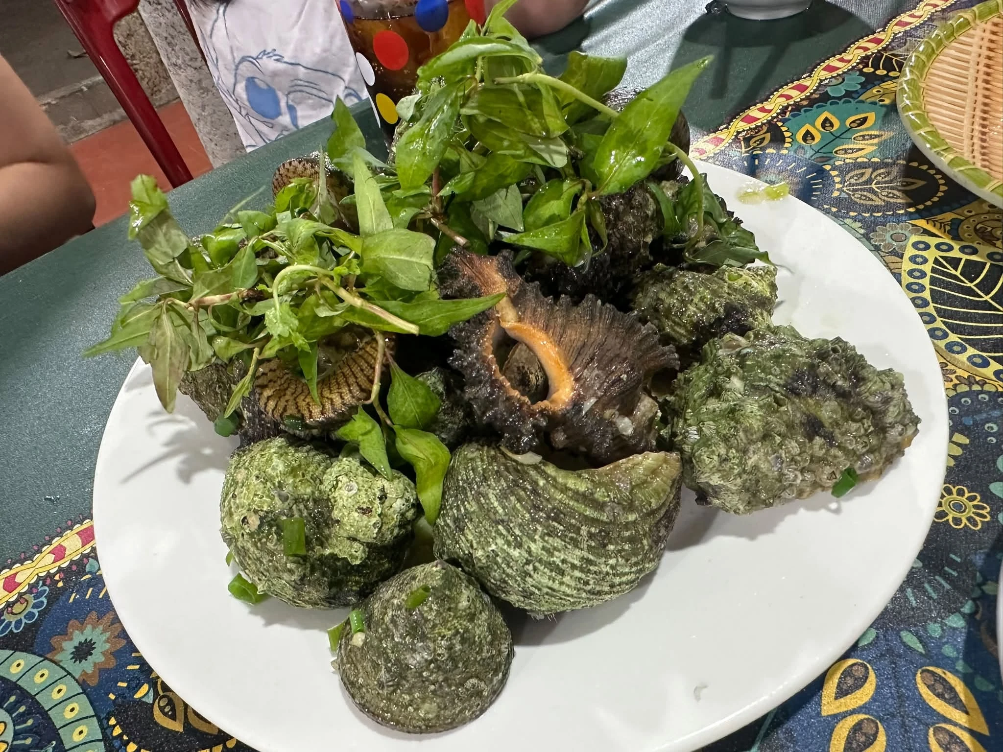 Đến Cù Lao Chàm, hãy du lịch tự túc - Hình 5