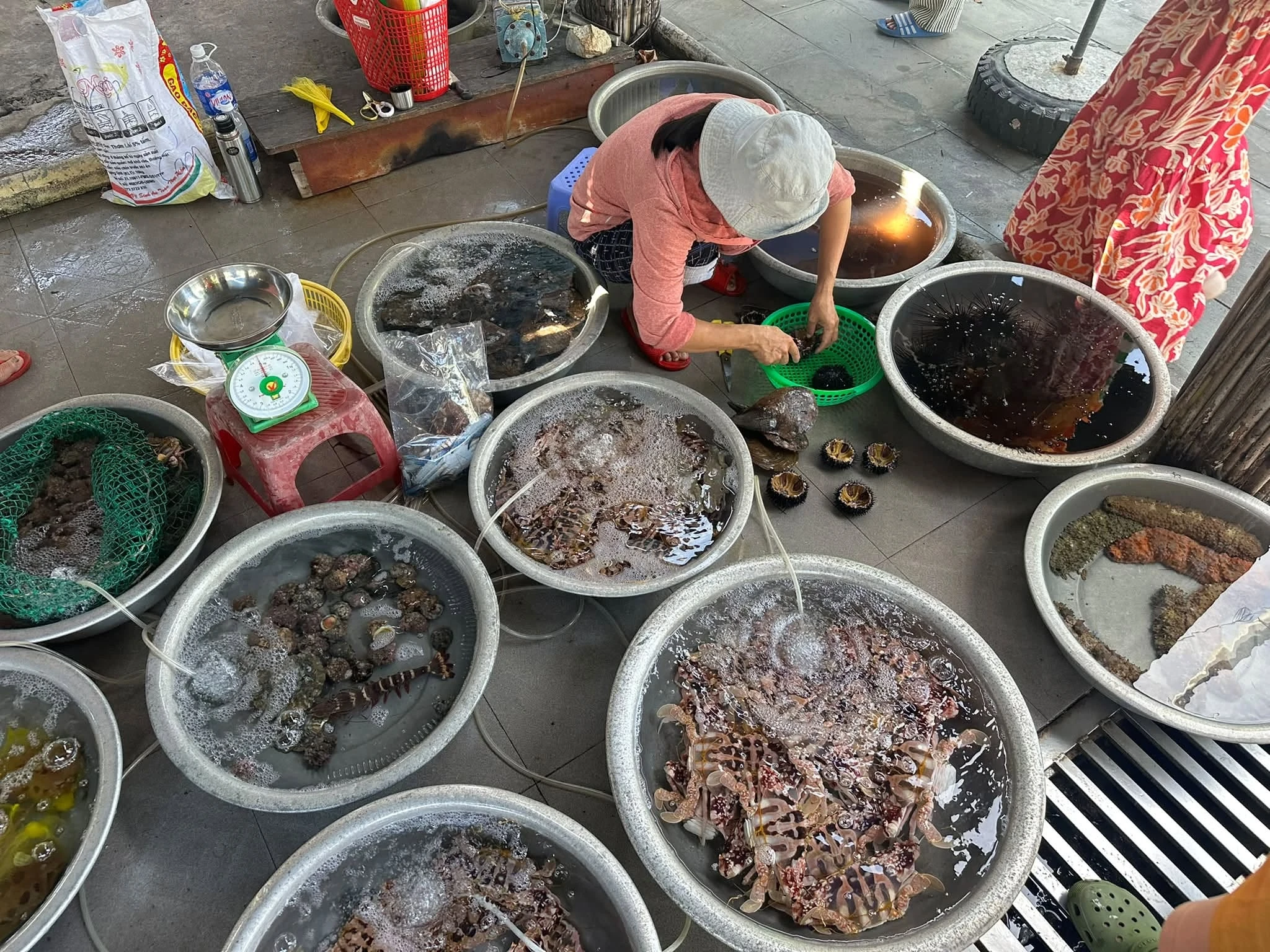 Đến Cù Lao Chàm, hãy du lịch tự túc - Hình 4