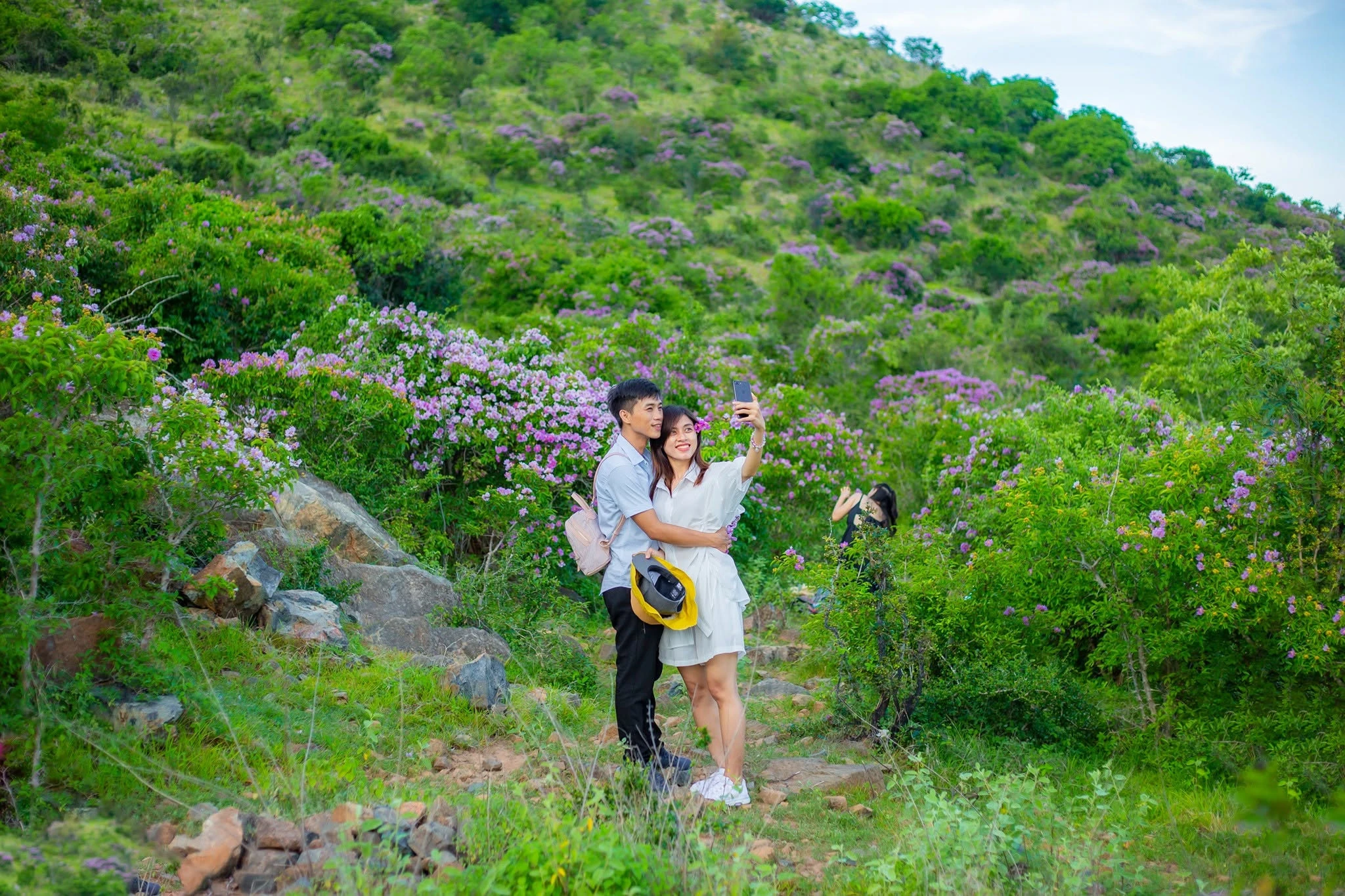 Những mùa hoa trên triền đá - Hình 2