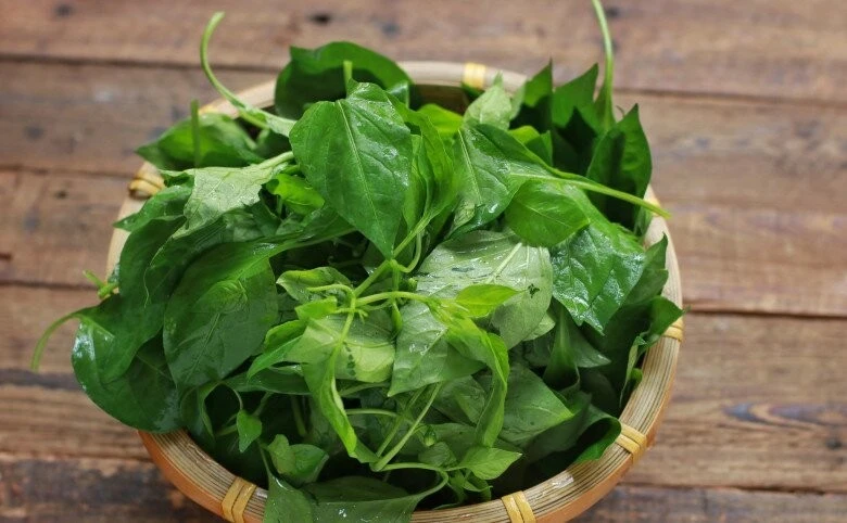 Lá này canxi gấp 2 lần sữa, nấu canh rất ngon, giúp bổ tỳ, tiêu sưng lại thanh mát ngay nhưng ít người biết ăn - Hình 2