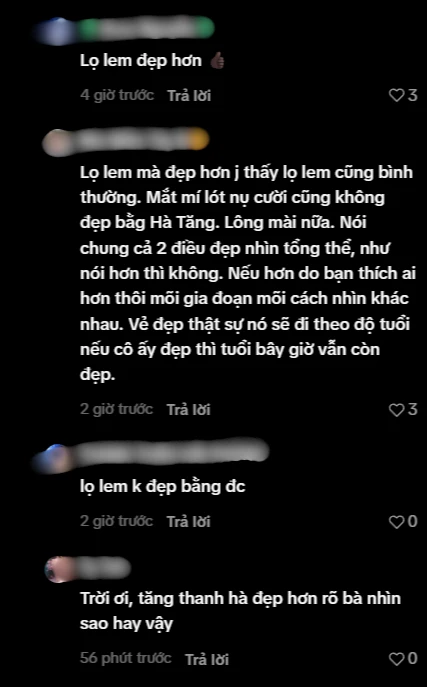 Tranh cãi Lọ Lem đẹp đến mấy cũng không bằng Tăng Thanh Hà - Hình 2