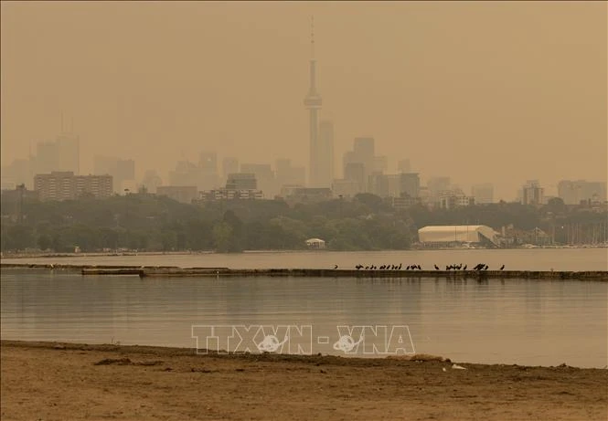 Thành phố Toronto (Canada) có chất lượng không khí kém nhất thế giới do cháy rừng - Hình 1