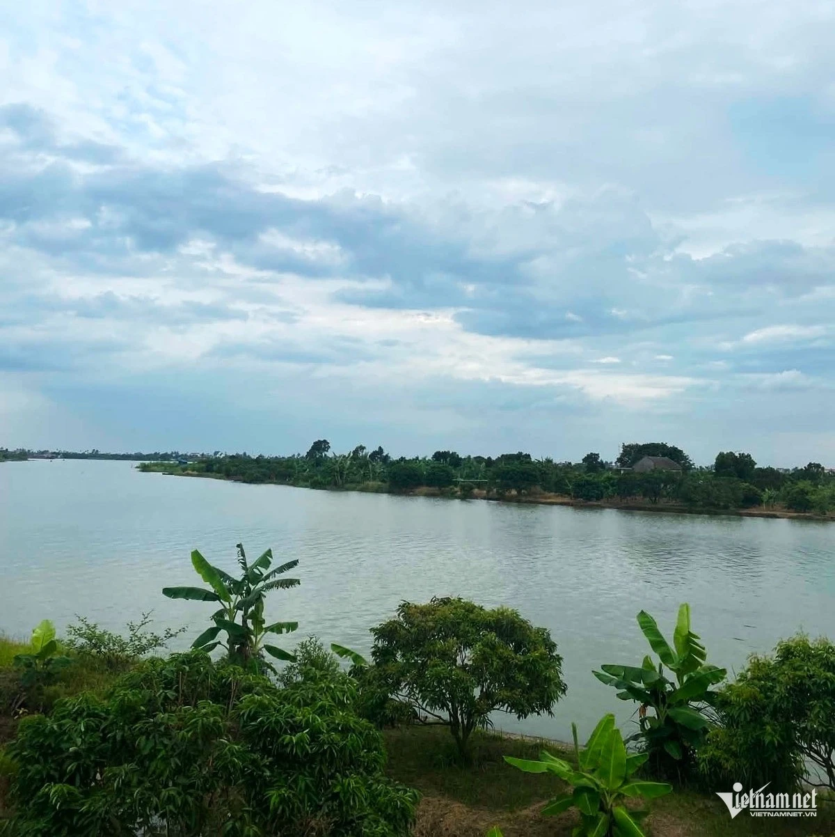 Vợ đau đớn phát hiện chồng ngoại tình nhờ một hộp sữa - Hình 1