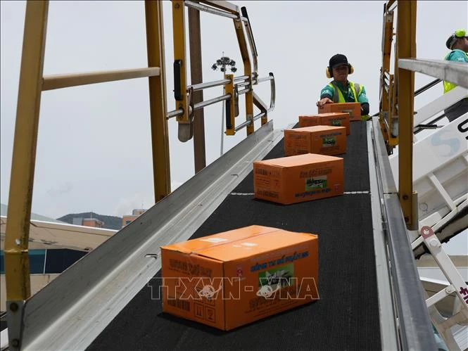 Động đất tại Venezuela: Tiếp nhận hơn 700.000 tấn hàng cứu trợ nhân đạo quốc tế - Hình 1
