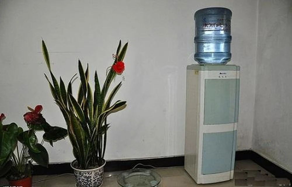 Mẹo đặt bình nước uống theo phong thủy giúp tài lộc hanh thông - Hình 2