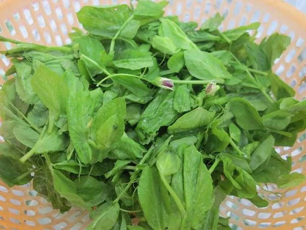 Vẻ đẹp nguyên sơ ở quê bà xã Hồ Văn Cường - Hình 5