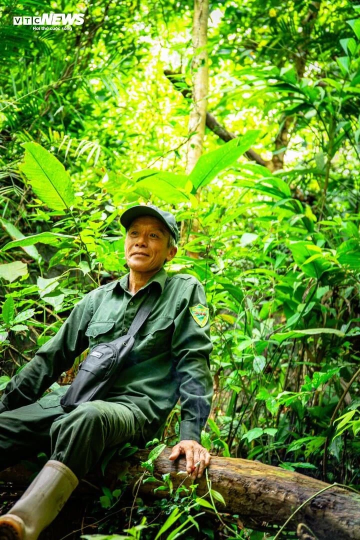 Lạc giữa đại ngàn đất mỏ Quảng Ninh, chạm vào báu vật xanh hàng trăm năm tuổi - Hình 3