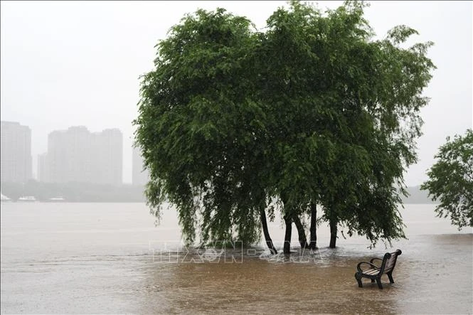 Trung Quốc: Sạt lở đất tại Trùng Khánh làm 11 người thiệt mạng, 50 người mất tích - Hình 1