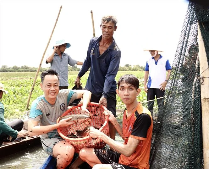 Khám phá nét văn hóa độc đáo giữa Đồng Tháp Mười thu nhỏ - Hình 6