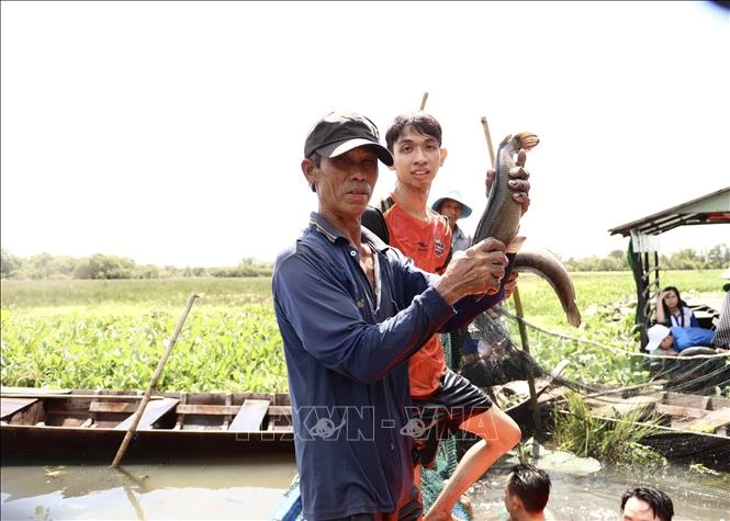 Khám phá nét văn hóa độc đáo giữa Đồng Tháp Mười thu nhỏ - Hình 5
